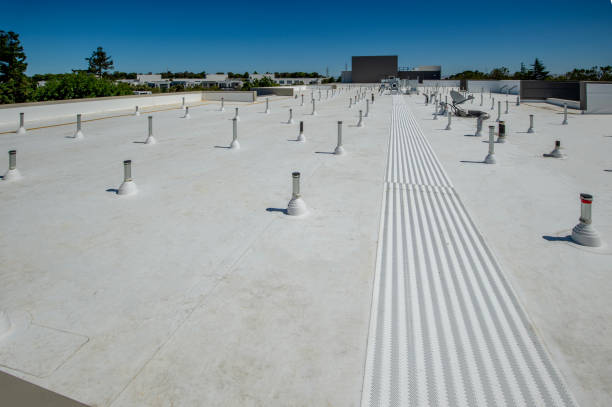 Best Metal Roofing Installation  in New London, OH
