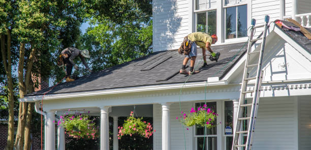 Best Roof Moss and Algae Removal  in New London, OH